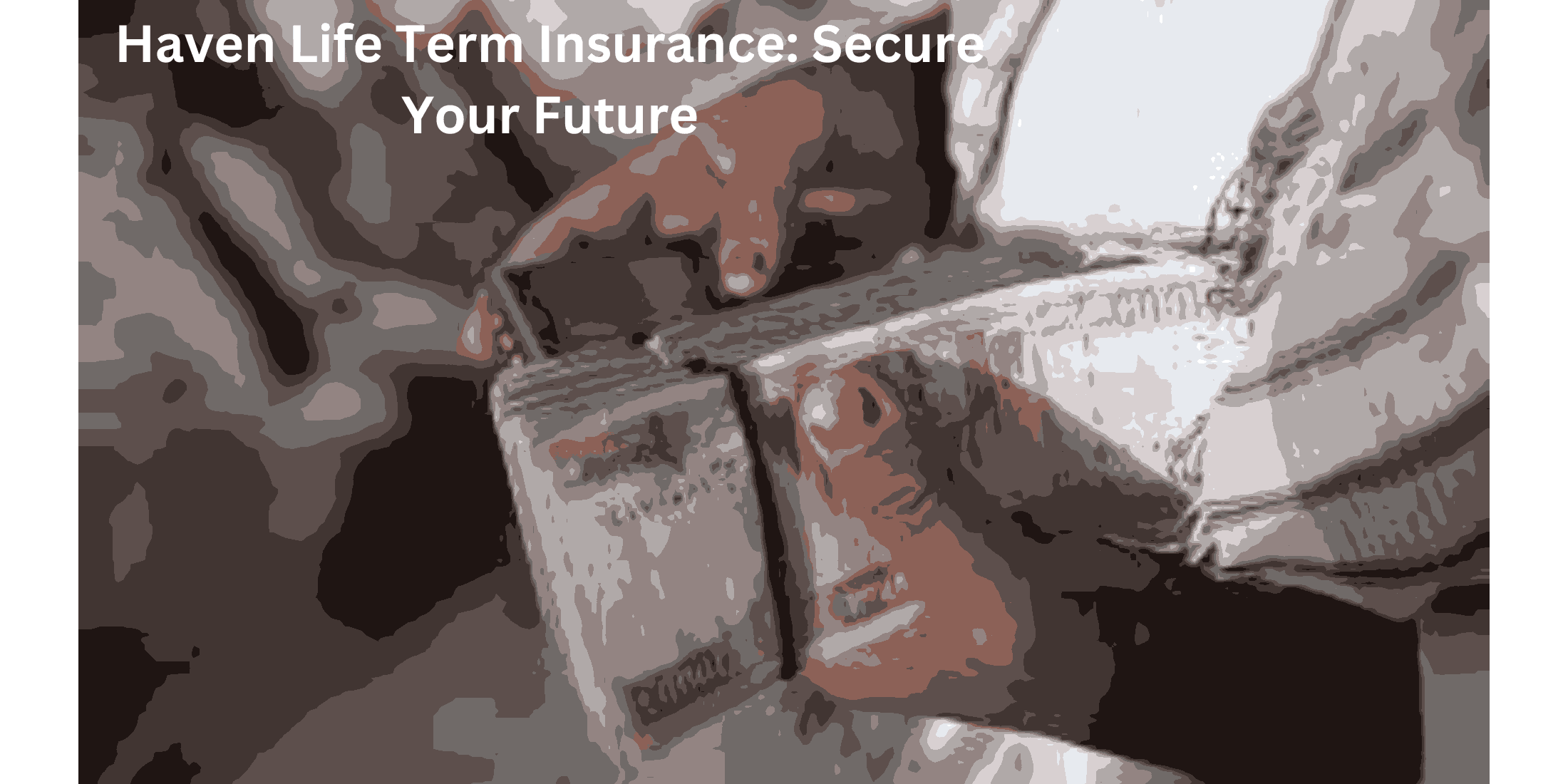 haven life term insurance